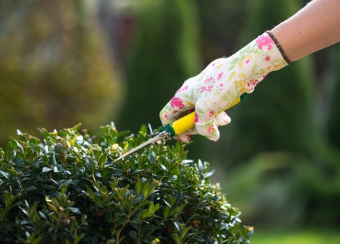 Technician using keyboard and screen reader while arranging hedge trimming in Hampstead