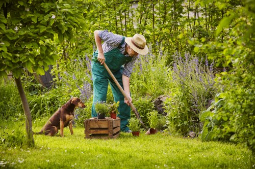 Professional hedge trimming service in Hampstead garden