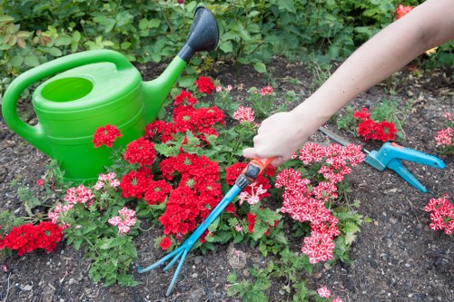 Team preparing hedges for trimming in a Hampstead garden