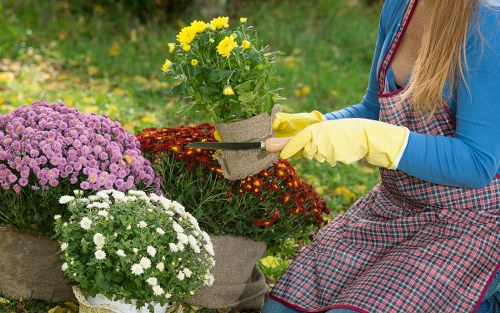 Cost breakdown for garden clearance in Hampstead