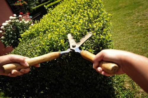 Garden clearance crew removing overgrown shrubs in a terraced yard