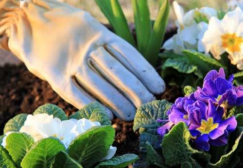 Professional garden maintenance services in Hampstead