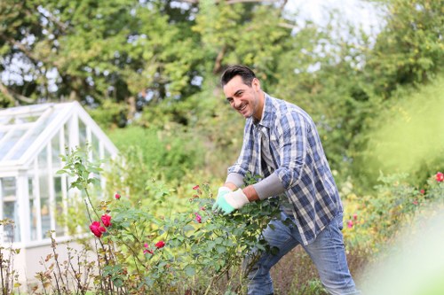 A man in casual clothing, including a plaid shirt and jeans, is gardening in a back garden, tending to a colorful flower bed with pink and red roses. The garden features a well-maintained lawn with lush, green grass in the foreground, bordered by a variety of shrubs and flowering plants. Behind him, a glass greenhouse structure is visible, alongside a backdrop of mature trees with dense foliage, suggesting a private outdoor space in Hampstead. The scene is illuminated by natural daylight, indicating a bright, clear weather day, which highlights the vibrant colors of the flowers and foliage. This image demonstrates typical outdoor garden maintenance activities that could be part of a comprehensive gardening service offered by Hedge Trimming Hampstead, including flower bed tending and general garden upkeep on a well-tended landscaped yard.