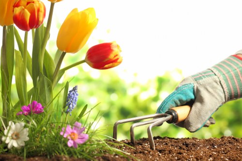 Choosing a Hampstead garden clearance provider
